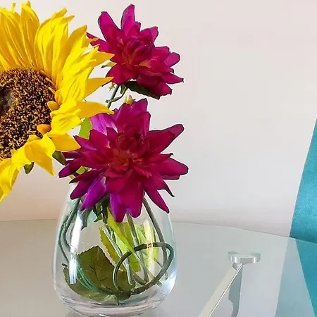 Апартаменты Jardim Sol Фуншал