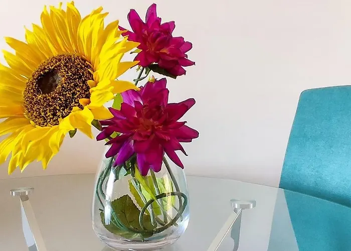 公寓 Jardim Sol 丰沙尔